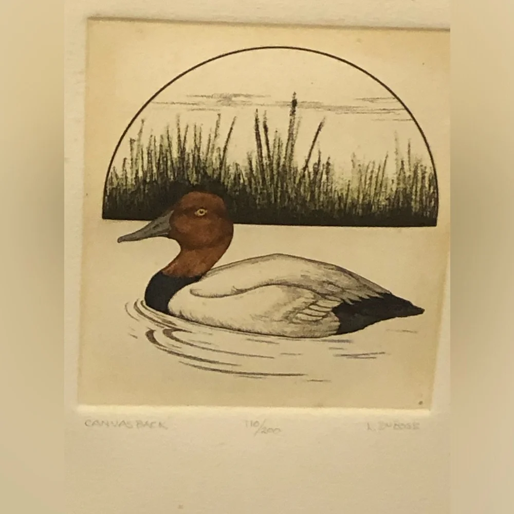 2258 Set Canvas Back /Shoveler Duck Prints by L. DuBose Signed & Numbered Framed